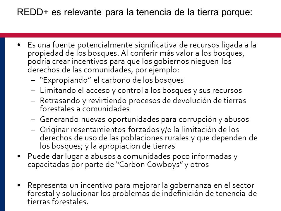 REDD+ es relevante para la tenencia de la tierra porque: