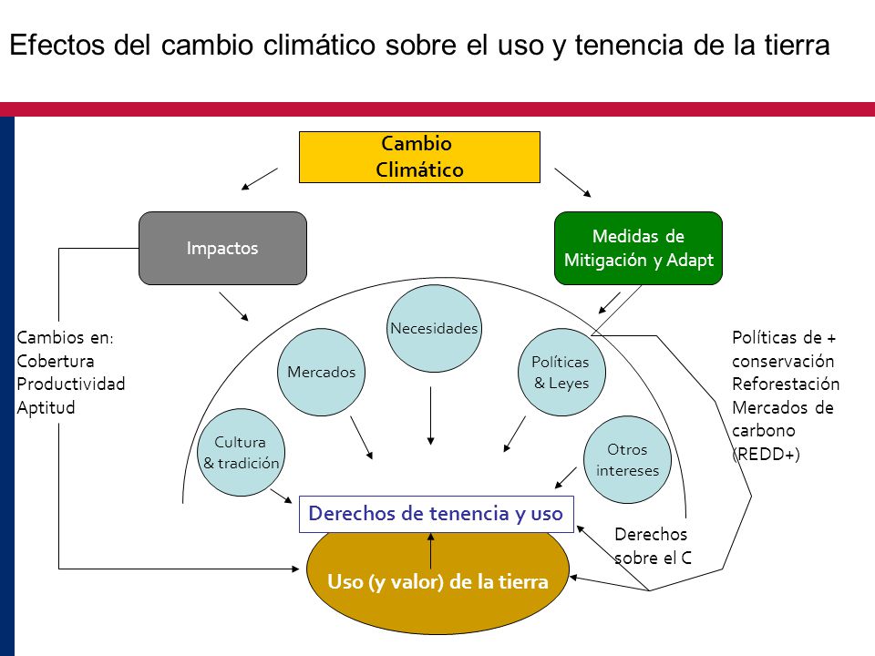 Efectos del cambio climático sobre el uso y tenencia de la tierra