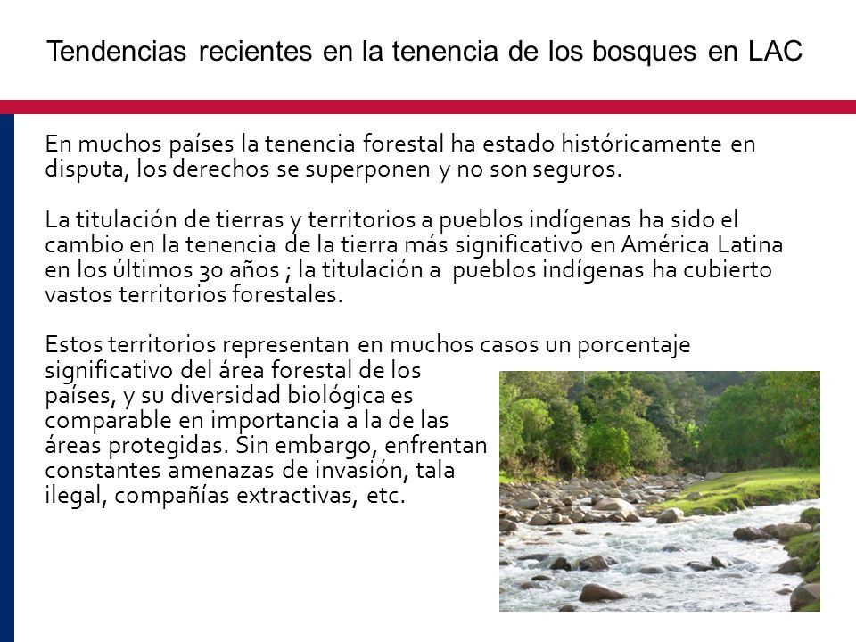 Tendencias recientes en la tenencia de los bosques en LAC