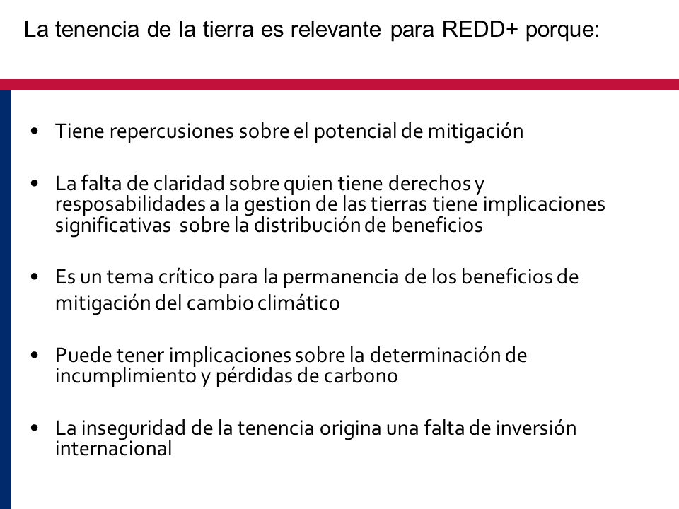 La tenencia de la tierra es relevante para REDD+ porque: