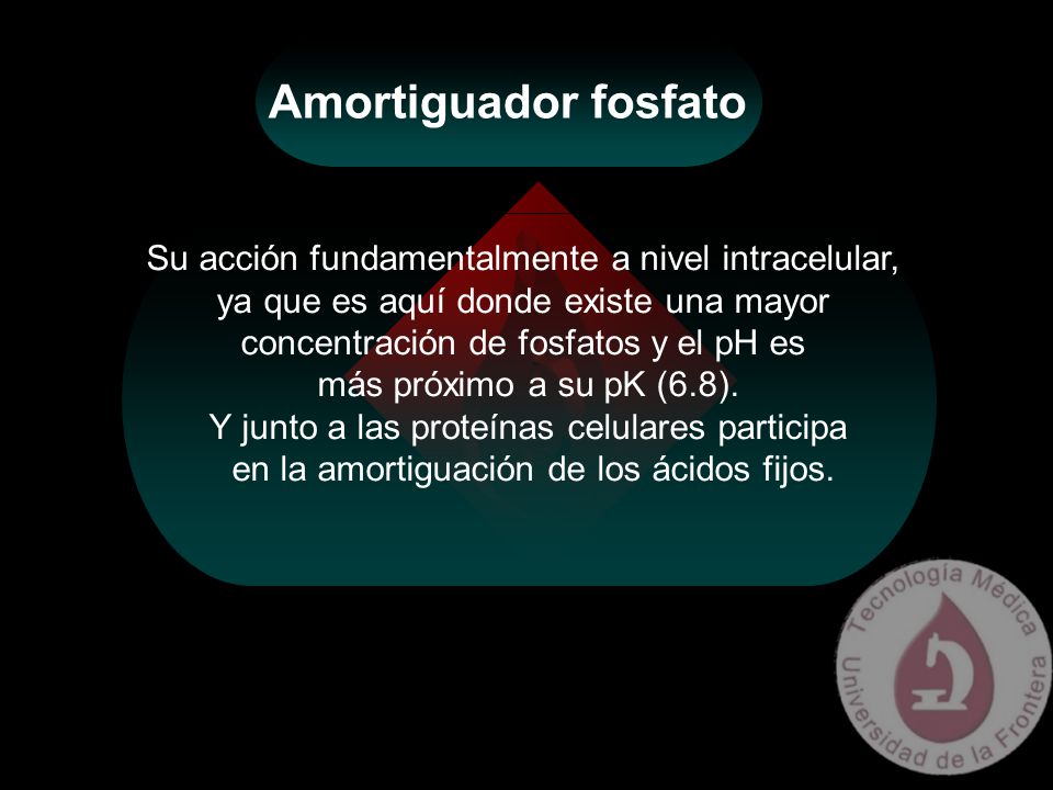 Amortiguador fosfato Su acción fundamentalmente a nivel intracelular,
