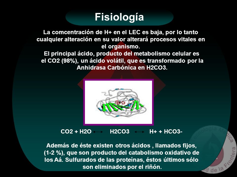 Fisiología La comcentración de H+ en el LEC es baja, por lo tanto