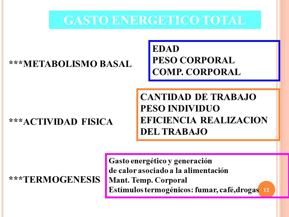 GASTO ENERGETICO TOTAL