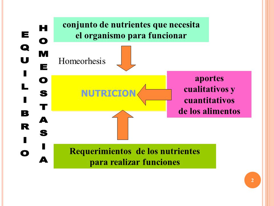 conjunto de nutrientes que necesita el organismo para funcionar