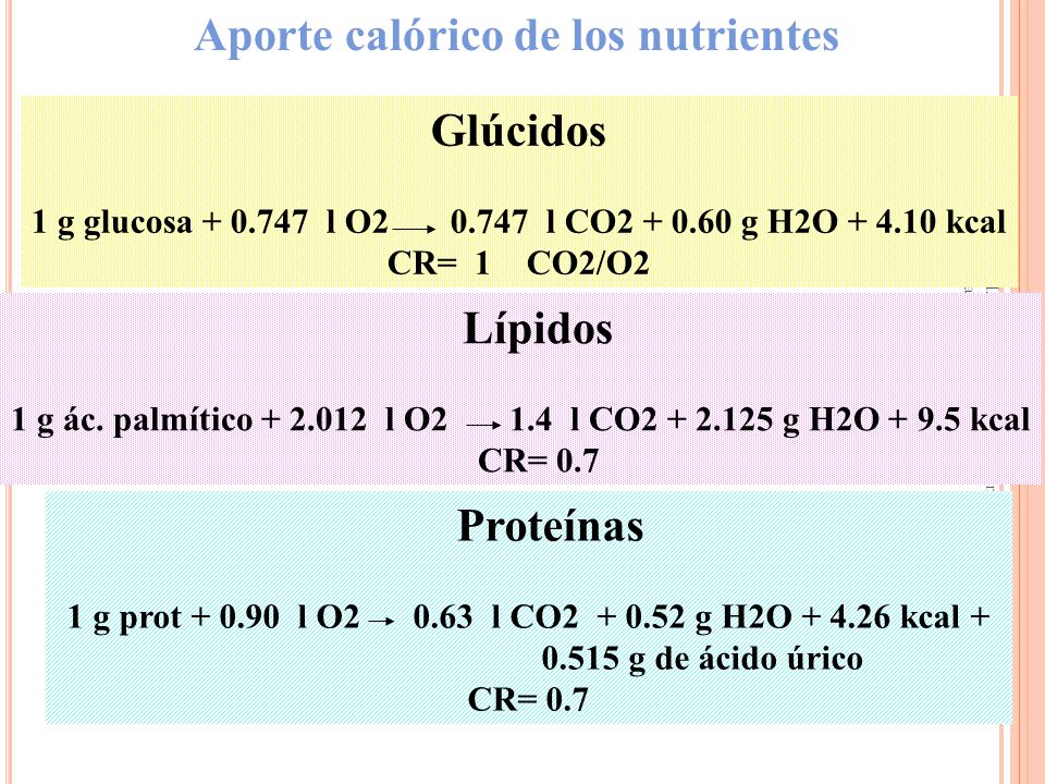 1 g prot l O l CO g H2O kcal +