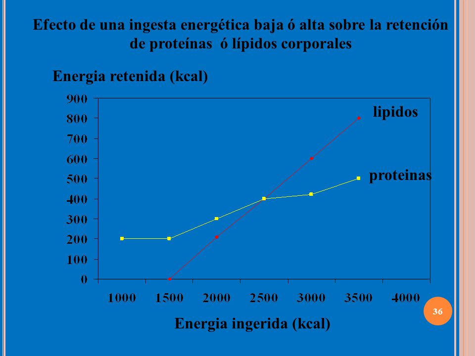Efecto de una ingesta energética baja ó alta sobre la retención