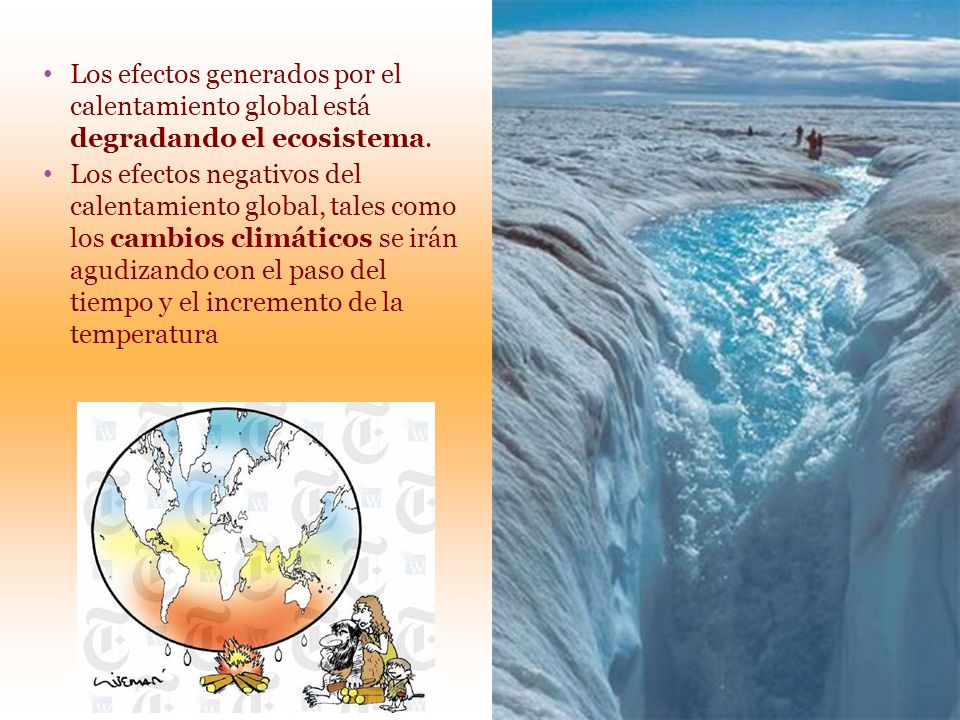 Los efectos generados por el calentamiento global está degradando el ecosistema.