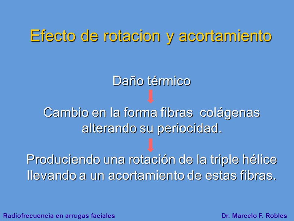Cambio en la forma fibras colágenas alterando su periocidad.