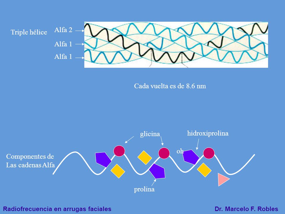 Alfa 2 Triple hélice. Alfa 1. Alfa 1. Cada vuelta es de 8.6 nm. glicina. hidroxiprolina. oh. Componentes de.