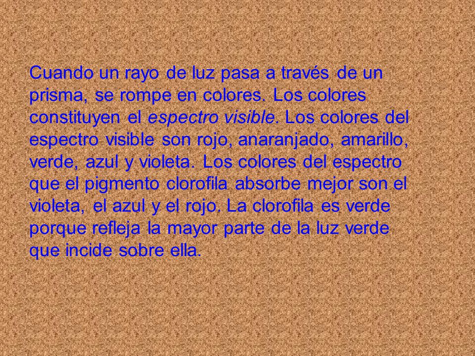 Cuando un rayo de luz pasa a través de un prisma, se rompe en co­lores