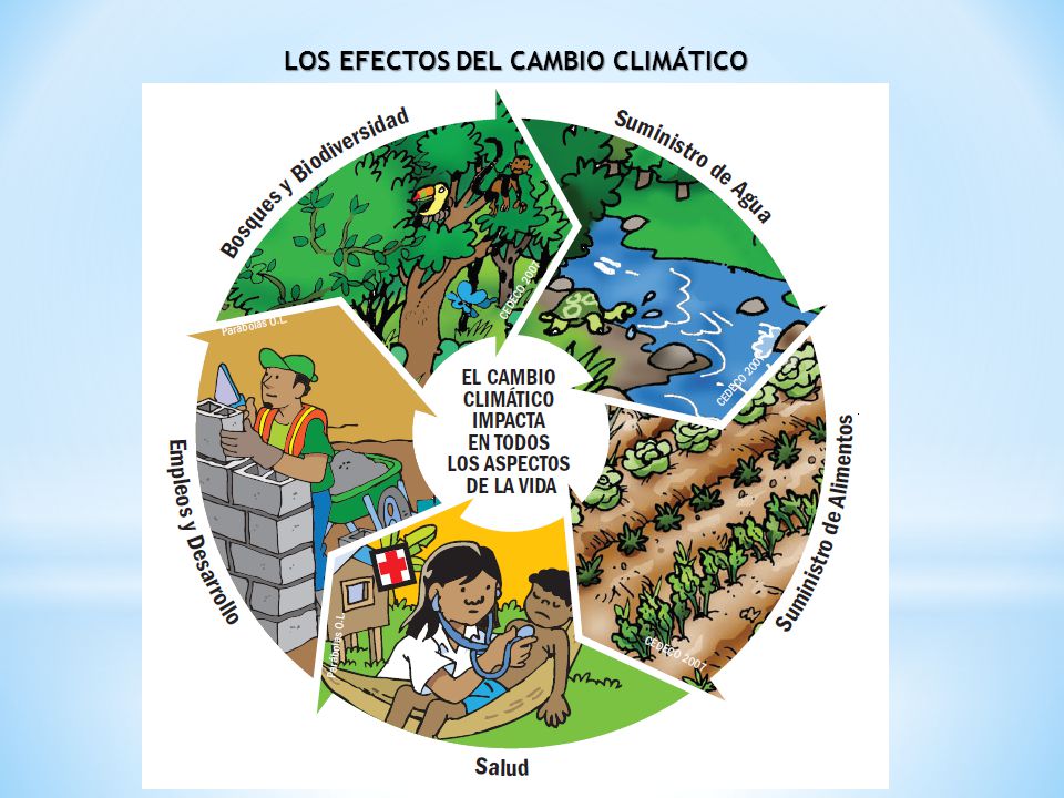 LOS EFECTOS DEL CAMBIO CLIMÁTICO