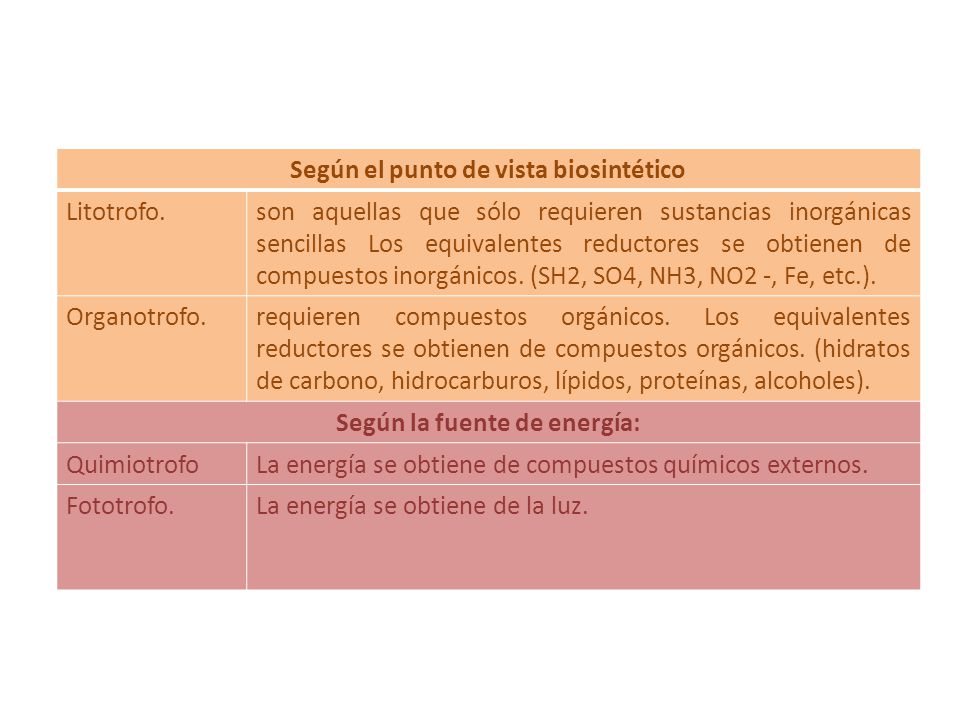 Según el punto de vista biosintético Según la fuente de energía: