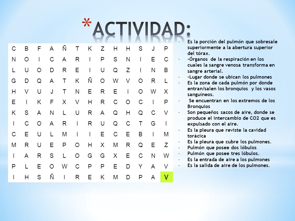 ACTIVIDAD: C B F A Ñ T K Z H S J P N O I R E L U D Q G W V X M Y