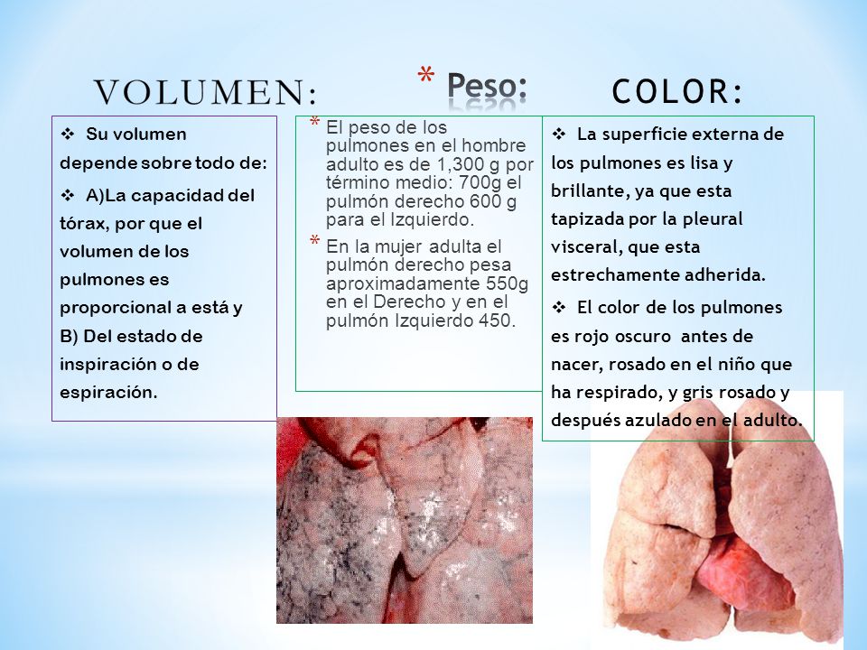 Peso: Color: Su volumen depende sobre todo de: