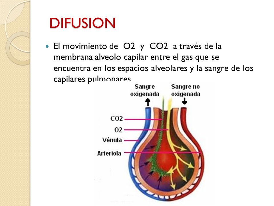 DIFUSION