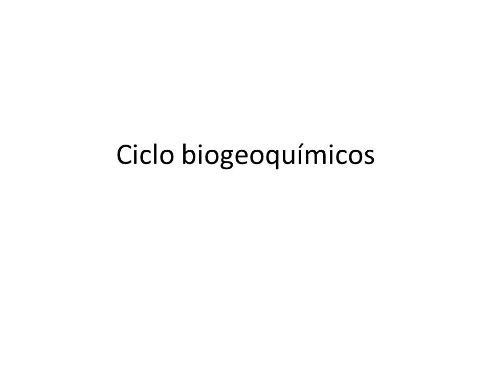 Ciclo biogeoquímicos