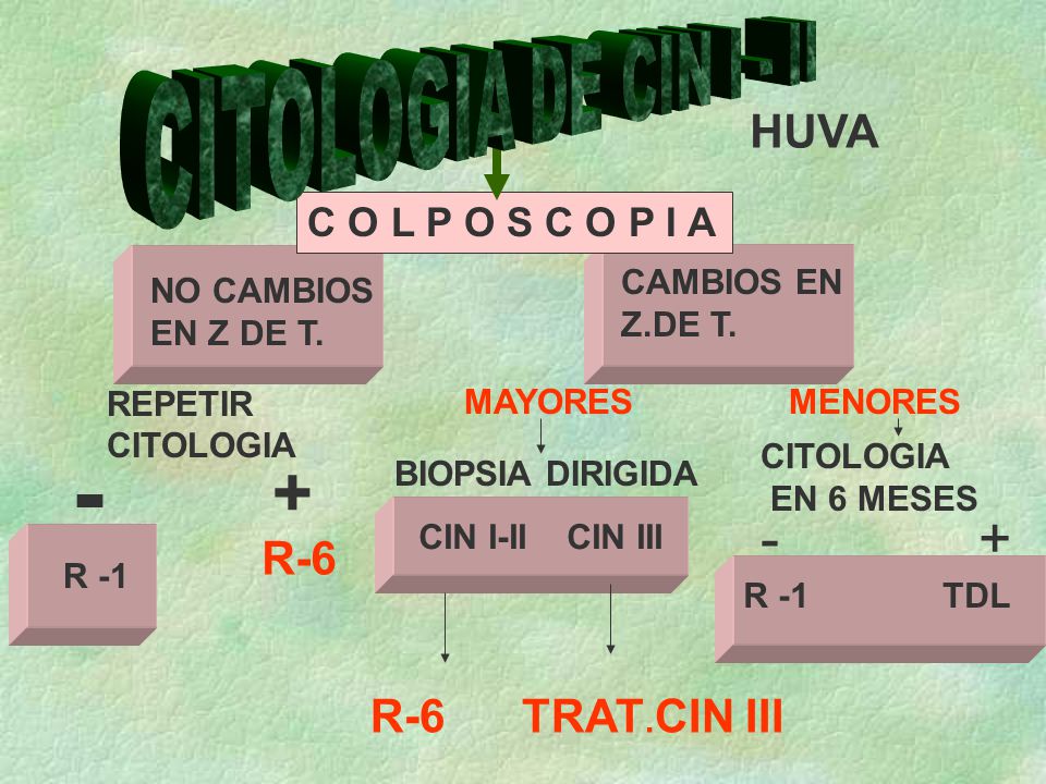 CITOLOGIA DE CIN I - II HUVA R-6 C O L P O S C O P I A