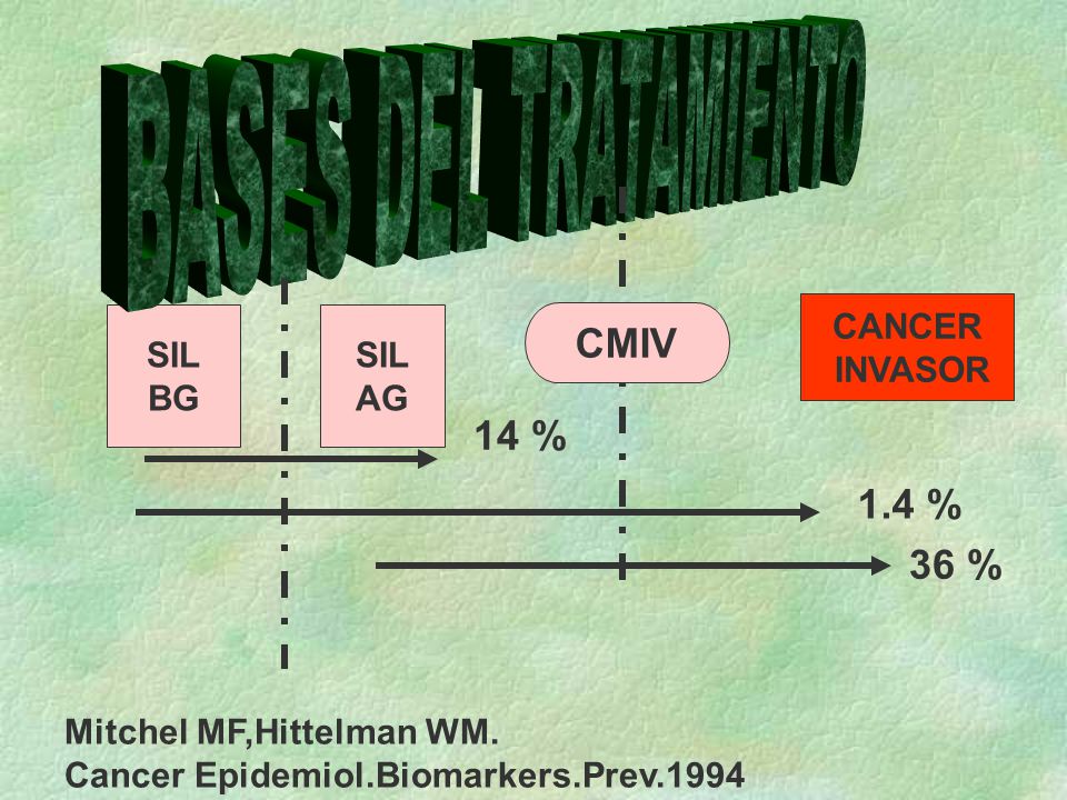 BASES DEL TRATAMIENTO CMIV 14 % 1.4 % 36 % CANCER INVASOR SIL BG SIL