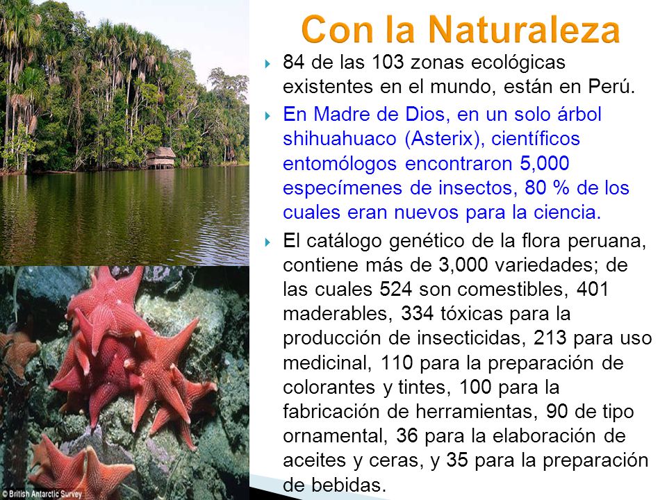 Con la Naturaleza 84 de las 103 zonas ecológicas existentes en el mundo, están en Perú.