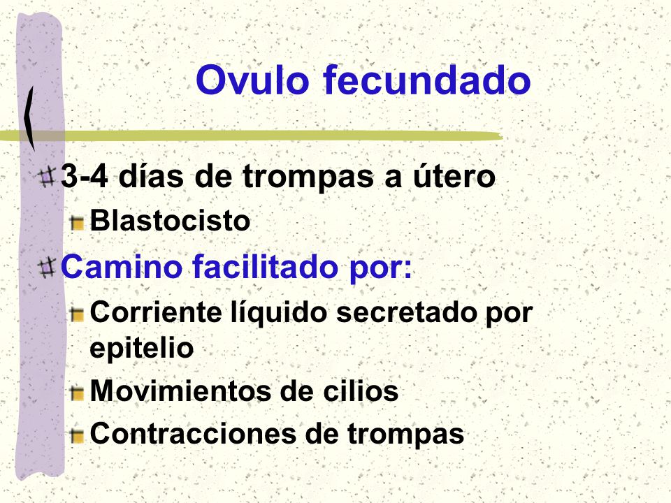 Ovulo fecundado 3-4 días de trompas a útero Camino facilitado por: