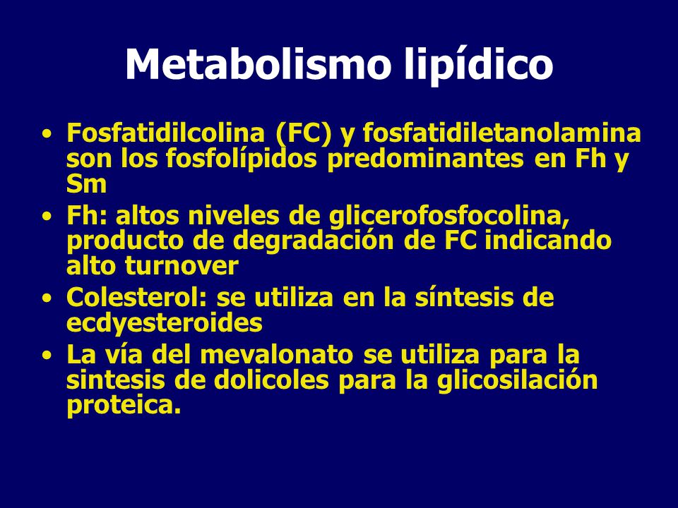 Metabolismo lipídico Fosfatidilcolina (FC) y fosfatidiletanolamina son los fosfolípidos predominantes en Fh y Sm.