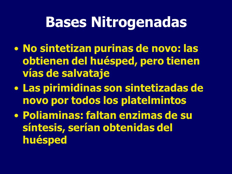 Bases Nitrogenadas No sintetizan purinas de novo: las obtienen del huésped, pero tienen vías de salvataje.