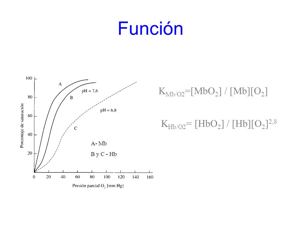 Función KMb/O2=[MbO2] / [Mb][O2] KHb/O2= [HbO2] / [Hb][O2]2,8 A- Mb