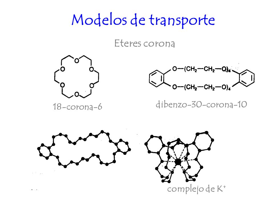 Modelos de transporte Eteres corona dibenzo-30-corona corona-6