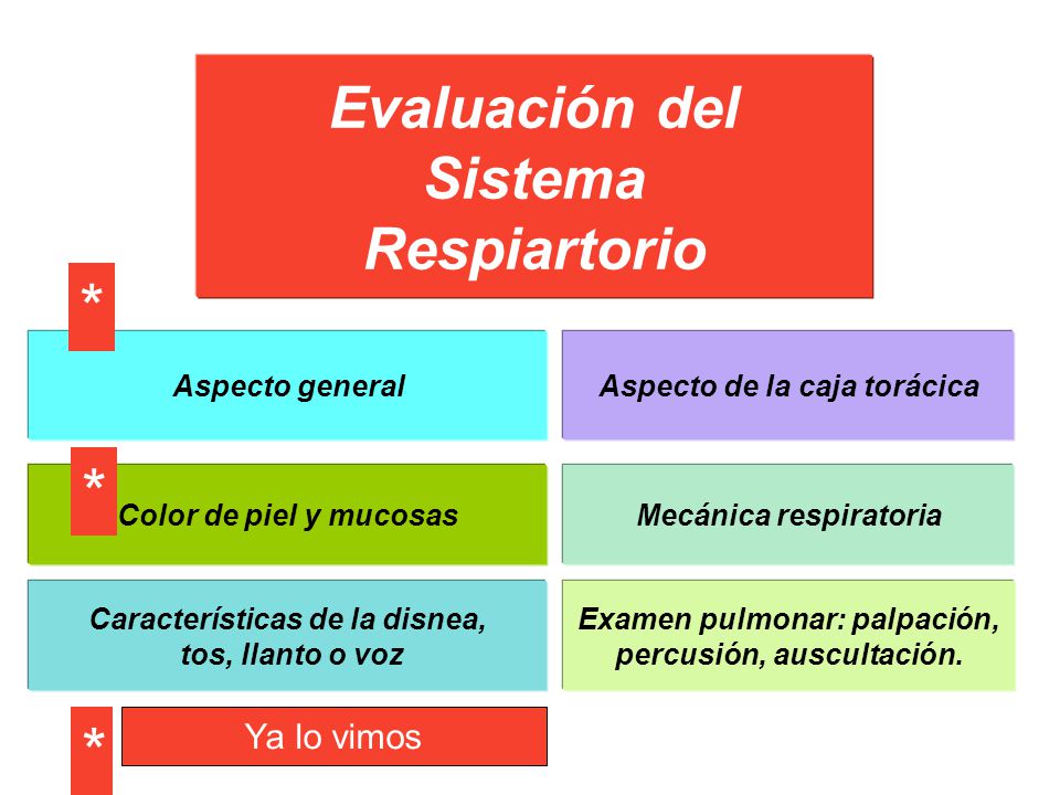 * * * Evaluación del Sistema Respiartorio Ya lo vimos Aspecto general