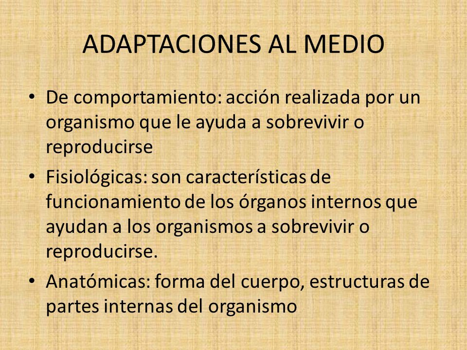 ADAPTACIONES AL MEDIO De comportamiento: acción realizada por un organismo que le ayuda a sobrevivir o reproducirse.