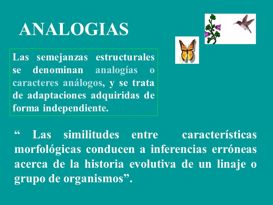 ANALOGIAS.