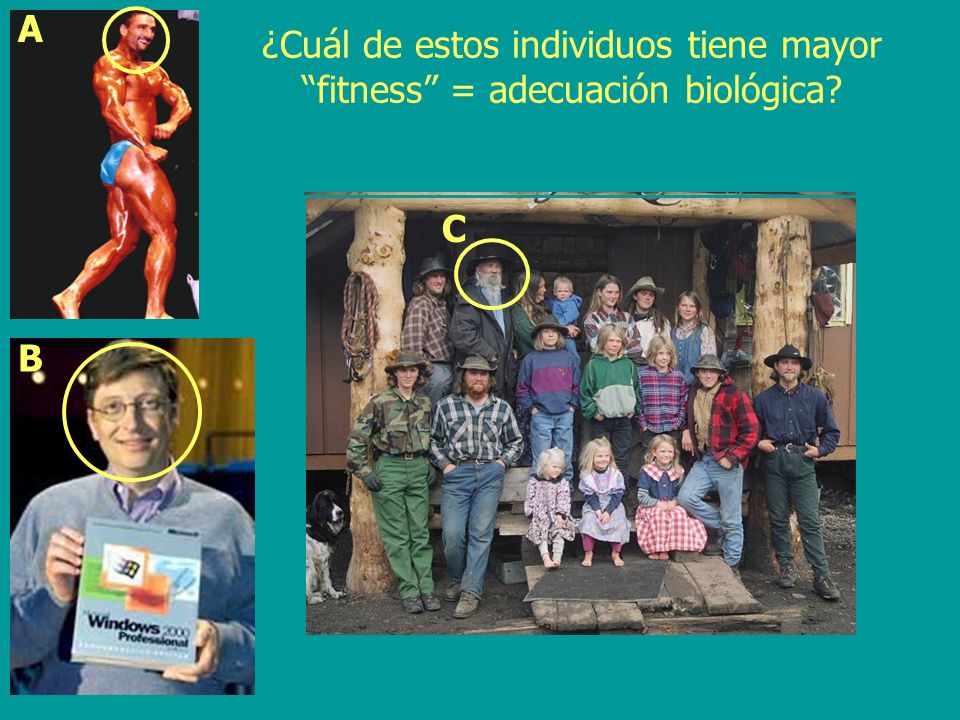 A ¿Cuál de estos individuos tiene mayor fitness = adecuación biológica C B