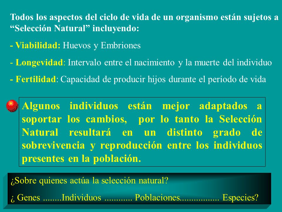 Todos los aspectos del ciclo de vida de un organismo están sujetos a Selección Natural incluyendo: