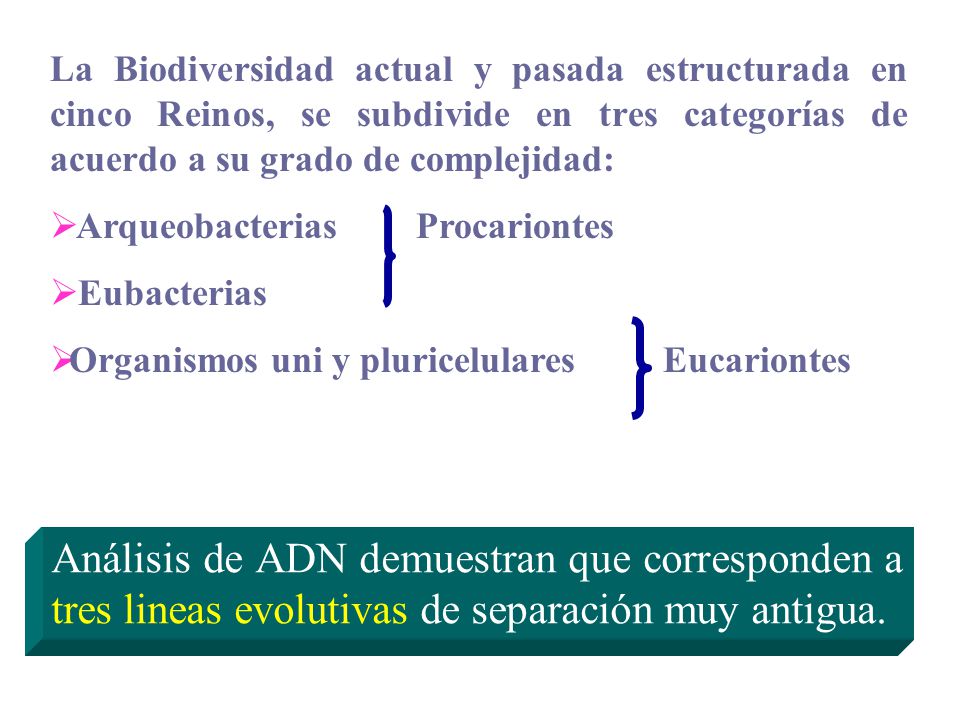 La Biodiversidad actual y pasada estructurada en cinco Reinos, se subdivide en tres categorías de acuerdo a su grado de complejidad: