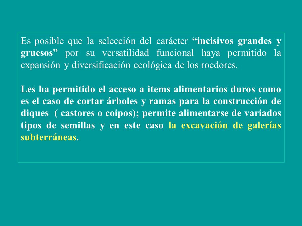 Es posible que la selección del carácter incisivos grandes y gruesos por su versatilidad funcional haya permitido la expansión y diversificación ecológica de los roedores.