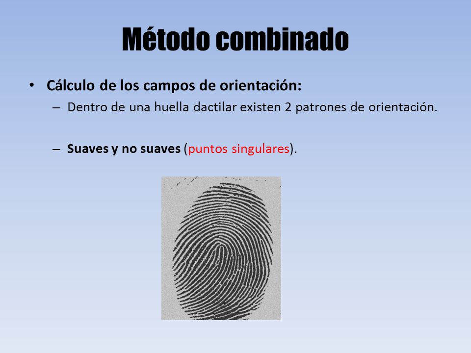 Método combinado Cálculo de los campos de orientación:
