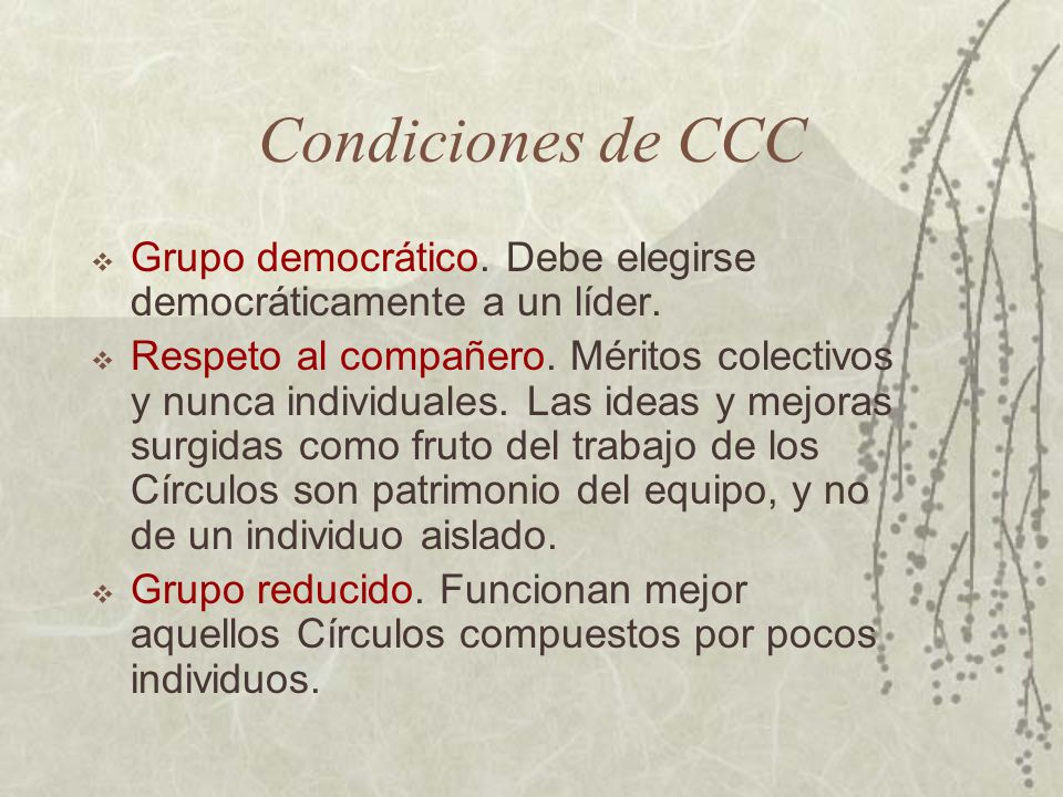 Condiciones de CCC Grupo democrático. Debe elegirse democráticamente a un líder.