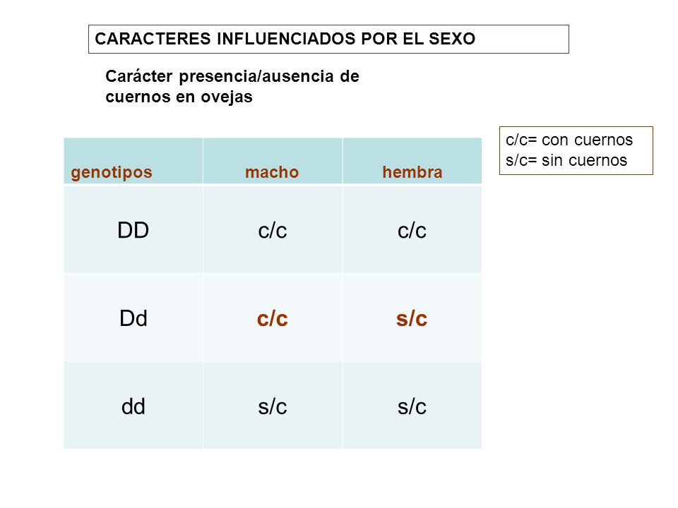 DD c/c Dd s/c dd CARACTERES INFLUENCIADOS POR EL SEXO