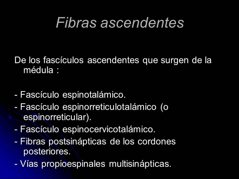 Fibras ascendentes De los fascículos ascendentes que surgen de la médula : - Fascículo espinotalámico.