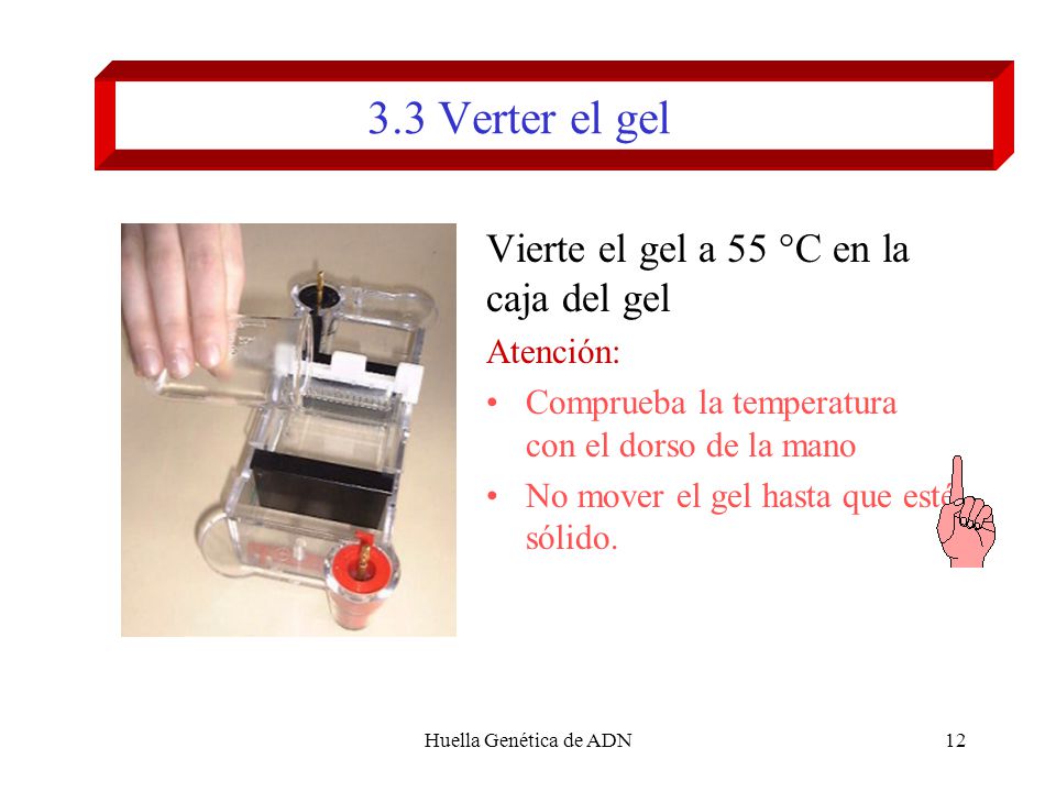 3.3 Verter el gel Vierte el gel a 55 °C en la caja del gel Atención: