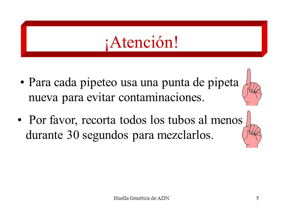 ¡Atención! Para cada pipeteo usa una punta de pipeta nueva para evitar contaminaciones.