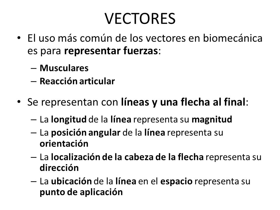 VECTORES El uso más común de los vectores en biomecánica es para representar fuerzas: Musculares. Reacción articular.