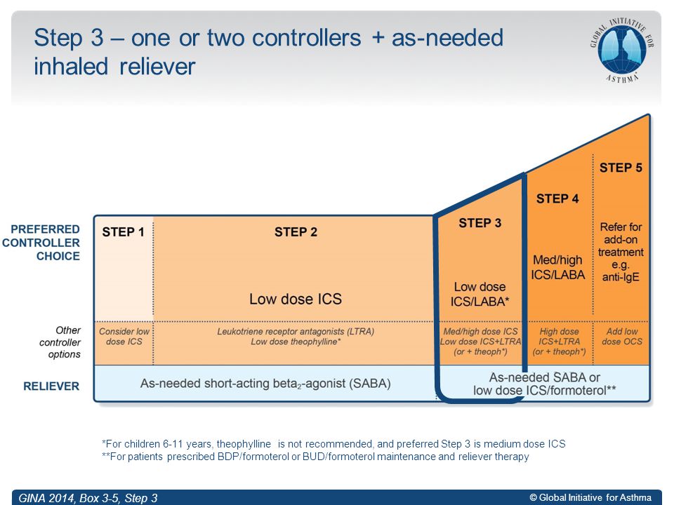 Step 3 – one or two controllers + as-needed inhaled reliever