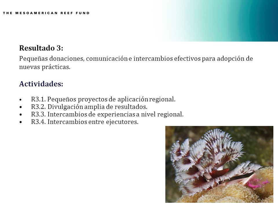 Resultado 3: Actividades: