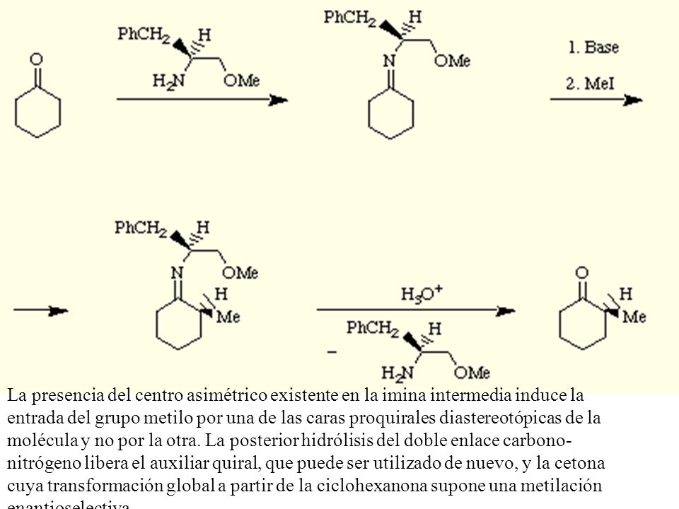 La presencia del centro asimétrico existente en la imina intermedia induce la entrada del grupo metilo por una de las caras proquirales diastereotópicas de la molécula y no por la otra.