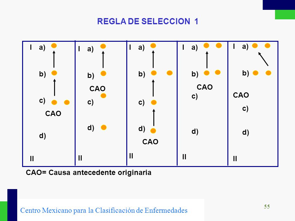 REGLA DE SELECCION 1 I a) b) CAO c) c) CAO d) II