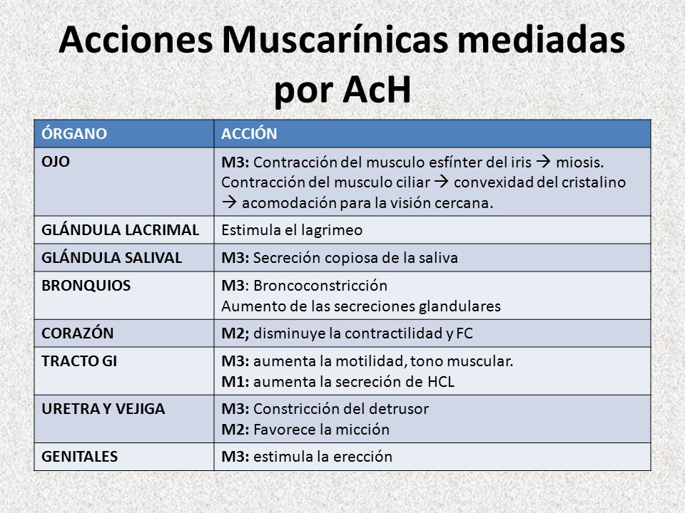 Acciones Muscarínicas mediadas por AcH