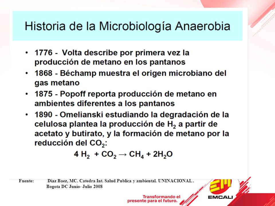 Fuente:. Diaz Baez, MC. Catedra Int. Salud Publica y ambiental