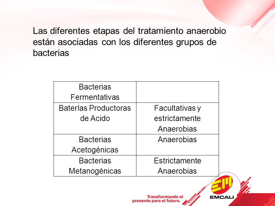 Las diferentes etapas del tratamiento anaerobio están asociadas con los diferentes grupos de bacterias