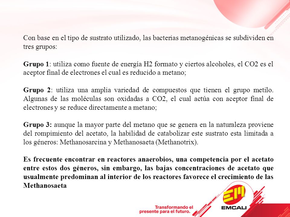 Con base en el tipo de sustrato utilizado, las bacterias metanogénicas se subdividen en tres grupos: